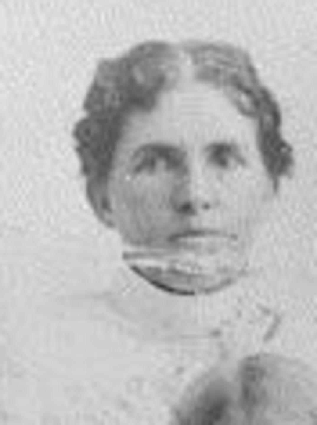 Martha Timothy (1862 - 1948) Profile
